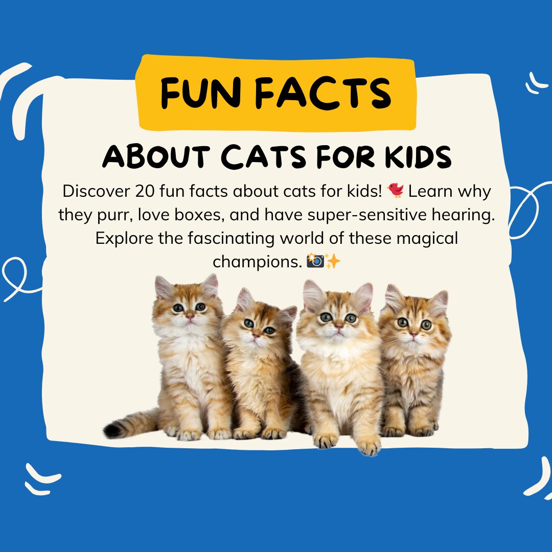 Fun Facts About Cats for Kids