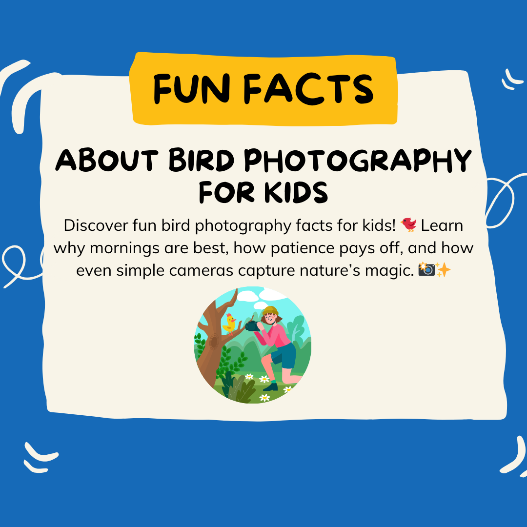 Bird Photography for Kids and Beginners