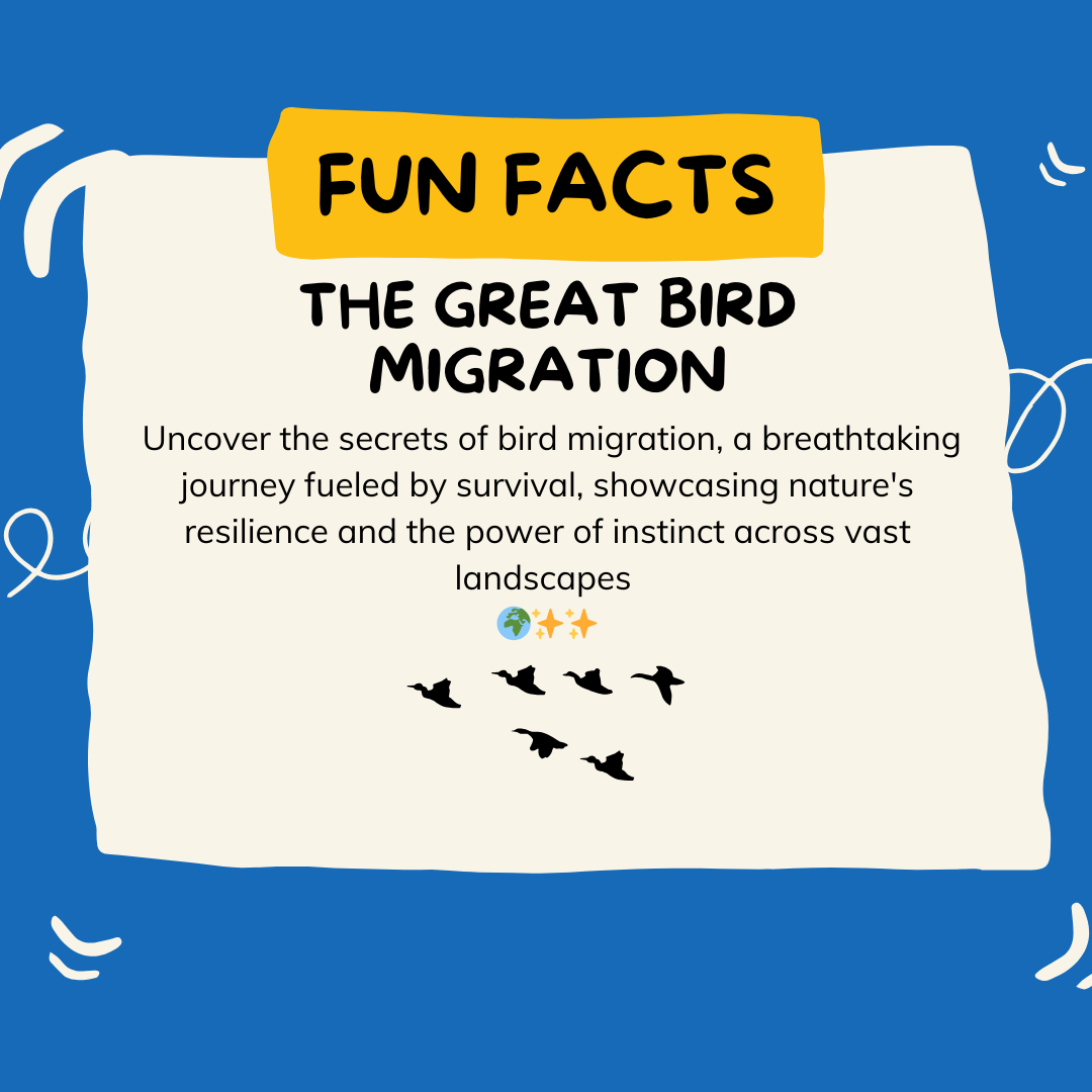 Bird Migration - Why do birds migrate